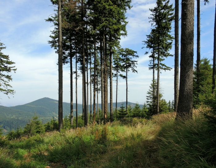 Bišovka a Stříbrňák z Kutného vrchu.